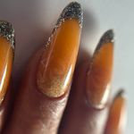 مجموعه زیبایی الناز قاسمی