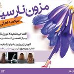 مزون نارسیس