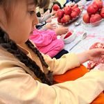 مجموعه دنیای خلاقیت نور(دوزبانه )