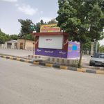 پیتزا پ
