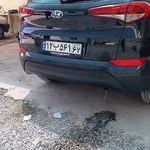 شستشوی کاتالیزوز و کربن زدایی