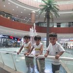 مجتمع خلیج فارس شیراز