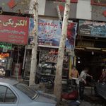 پرنده فروشی آشیانه عشق