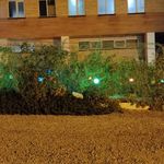 استخر و بدنسازی ولایت