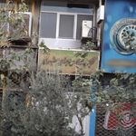 کلینیک مددکاری اجتماعی مشیری