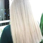 سالن زیبایی و آرایشگاه زنانه لیدی رز