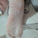 سالن زیبایی و آرایشگاه زنانه لیدی رز