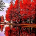 گچ کاری و نقاشی ساختمان قربانی
