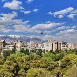 بوستان شاهین