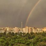 بوستان شاهین