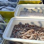 ماهی فروشی اروند