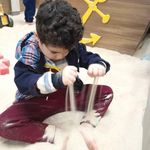 مجموعه شهربادی