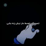 کلینیک روانشناسی دکتر حمیده اسکندرپور