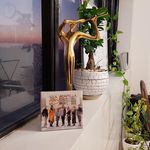 آموزشگاه موسیقی دامور