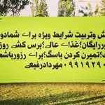هتل پانسیون دهکده سبز