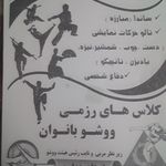 کلاس رزمی  استاد هزاوه