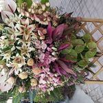 بوتیک گل خاک
