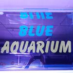 آکواریوم آبی همدان