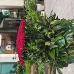 بوتیک گل خاک