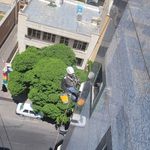 پیچ رولپلاک نما