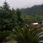 باغ رستوران کوبار