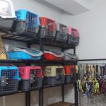 پت شاپ ستارخان رایو