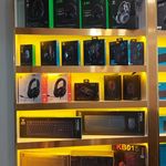 اکسین سیستم