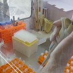 آزمایشگاه تخصصی ویروس شناسی میهن