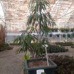 مزرعه زندگی