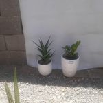 مزرعه زندگی