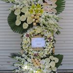 گل و گیاه انگور