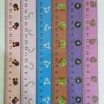 محصولات فانتزی آینه و خط کش و بوک مارک