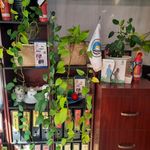 بیمه ایران  نیاوران  نمایندگی عارف نسب