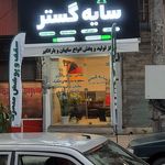 سایه گستر