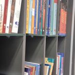 دکتر روانشناس روان درمانگر سمیرا انصاری