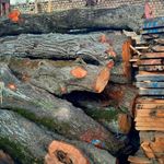 چوب فروشی حقیقی
