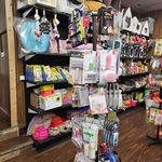 کلینیک دامپزشکی دوست خوب