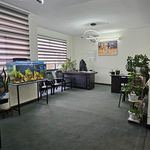 املاک ستاره