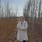 شرکت دنیز نهال پاشایی