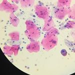 آزمایشگاه پاتوبیولوژی دنیا