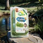 سبزی خشک صادراتی سبز پرهام