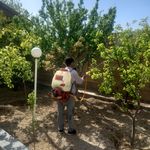 خدمات باغبانی و سمپاشی آرین