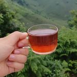 پخش برنج گیلان دهقانی