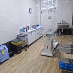 کلینیک دامپزشکی رد کارپت