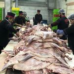 شرکت سالم پروتئین آریا