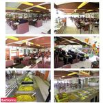 کافه رستوران ماهان