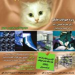 کلینیک دامپزشکی پردیس