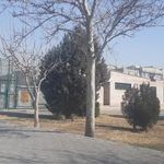 سرویس بهداشتی بوستان چیتگر شماره 6