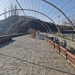 پل تاریخی خاتون