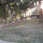 بوستان بنفشه